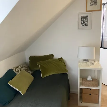 Cosy Nest Center Of Paris